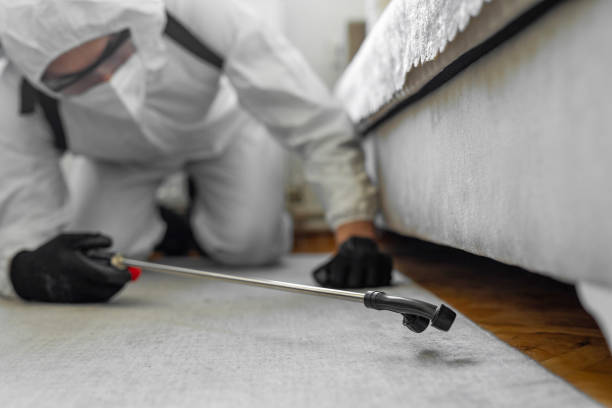 Professional Termite Control technician working in Colleyville, TX