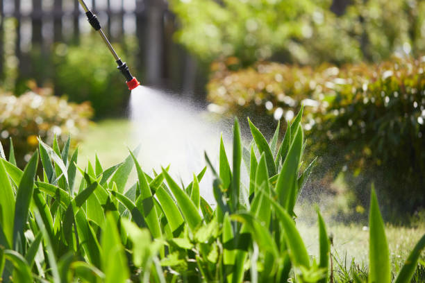24/7 Emergency Termite Control experts in Colleyville, TX